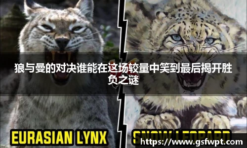 博鱼体育官网